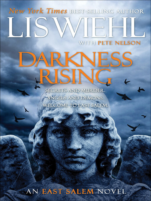 Title details for Darkness Rising by Lis Wiehl - Available
